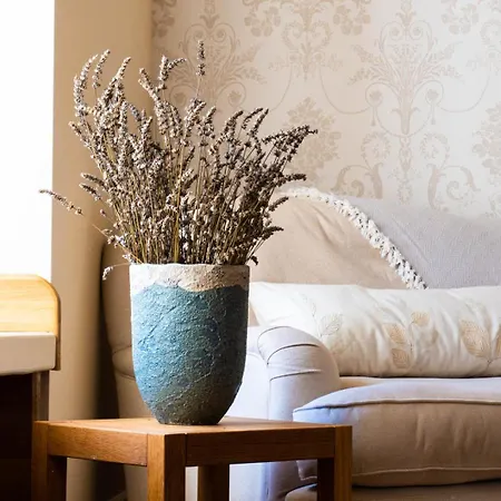 Logis De Tirac Bed & Breakfast
